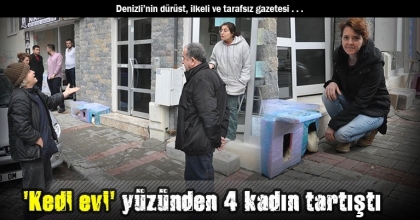 'Kedi evi' yüzünden 4 kadın tartıştı