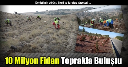 10 Milyon Fidan Toprakla Buluştu