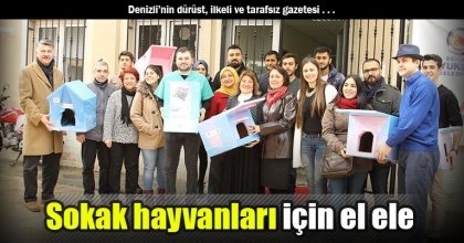 Sokak hayvanları için seferber oldular