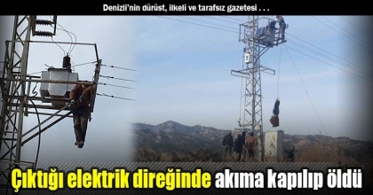 Çıktığı elektrik direğinde akıma kapılıp öldü