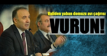 Validen yaban domuzu avı çağrısı