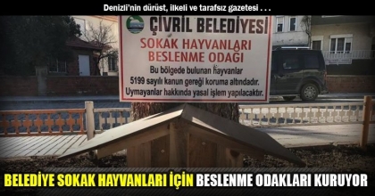BELEDİYE SOKAK HAYVANLARI İÇİN BESLENME ODAKLARI KURUYOR