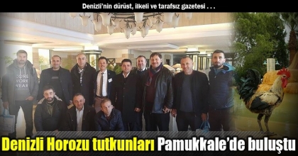 Denizli Horozu tutkunları Pamukkale’de buluştu