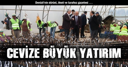 Cevize Büyük Yatırım