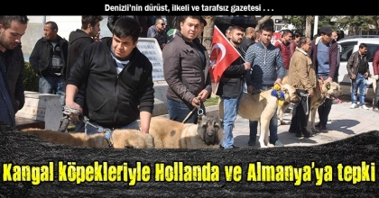 Kangal köpekleriyle Hollanda ve Almanya'ya tepki
