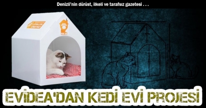 Evidea’dan Kedi Evi Projesi
