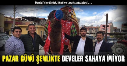 PAZAR GÜNÜ ŞENLİKTE DEVELER SAHAYA İNİYOR