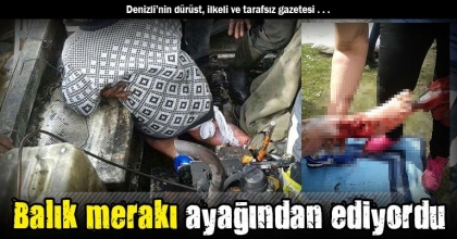 Balık merakı ayağından ediyordu