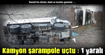 Kamyon şarampole uçtu : 1 yaralı