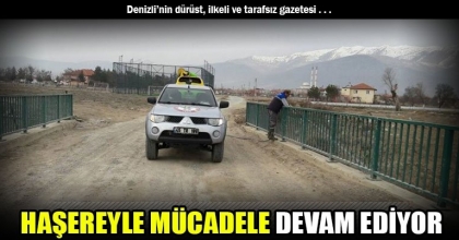 HAŞEREYLE MÜCADELE DEVAM EDİYOR