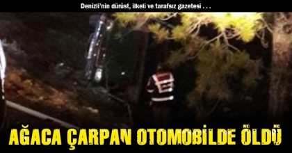 AĞACA ÇARPAN OTOMOBİLDE ÖLDÜ