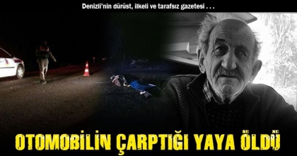 OTOMOBİLİN ÇARPTIĞI YAYA ÖLDÜ