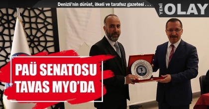 PAÜ SENATOSU TAVAS MYO’DA