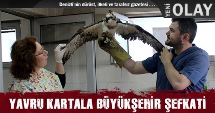 YAVRU KARTALA BÜYÜKŞEHİR ŞEFKATİ