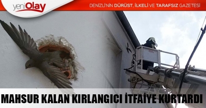 MAHSUR KALAN KIRLANGICI İTFAİYE KURTARDI