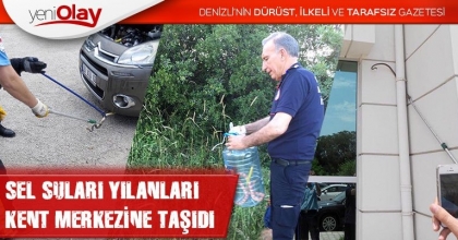 SEL SULARI YILANLARI KENT MERKEZİNE TAŞIDI