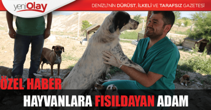 HAYVANLARA FISILDAYAN ADAM