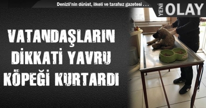 VATANDAŞLARIN DİKKATİ YAVRU KÖPEĞİ KURTARDI
