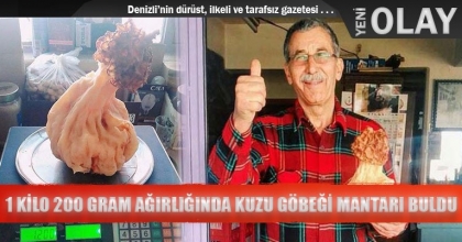 1 KİLO 200 GRAM AĞIRLIĞINDA KUZU GÖBEĞİ MANTARI BULDU