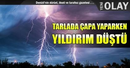 TARLADA ÇAPA YAPARKEN YILDIRIM DÜŞTÜ