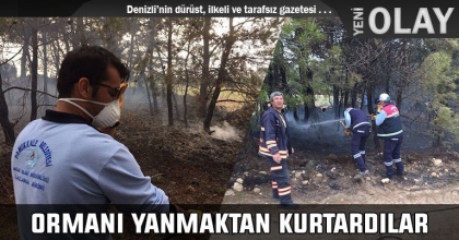 ORMANI YANMAKTAN KURTARDILAR