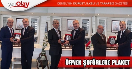ÖRNEK ŞOFÖRLERE PLAKET