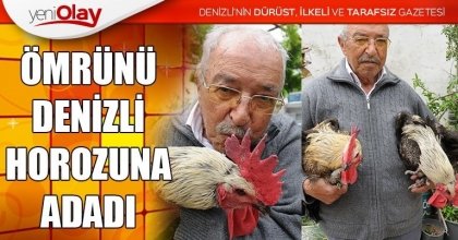 ÖMRÜNÜ DENİZLİ HOROZUNA ADADI