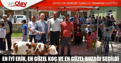 EN İYİ ERİK, EN GÜZEL KOÇ VE EN GÜZEL BUZAĞI SEÇİLDİ