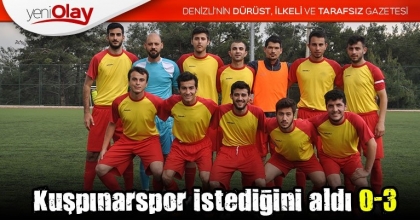Kuşpınarspor istediğini aldı 0-3