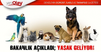 BAKANLIK AÇIKLADI; YASAK GELİYOR!