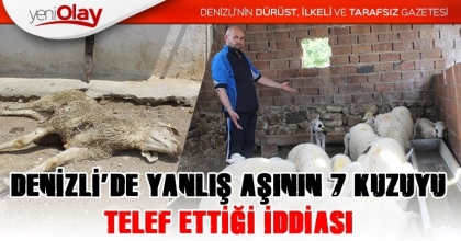 DENİZLİ’DE YANLIŞ AŞININ 7 KUZUYU TELEF ETTİĞİ İDDİASI