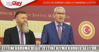 “ZEYTİNİ KORUMA DEĞİL, ZEYTİNE KIYMA KURULU GELİYOR”