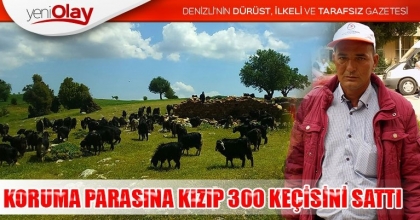 KORUMA PARASINA KIZIP 300 KEÇİSİNİ SATTI