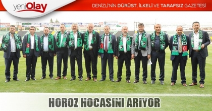 HOROZ HOCASINI ARIYOR
