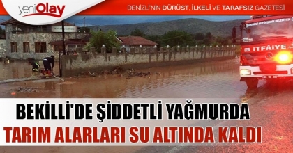 BEKİLLİ'DE ŞİDDETLİ YAĞMURDA TARIM ALARLARI SU ALTINDA KALDI