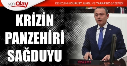 KRİZİN PANZEHİRİ SAĞDUYU