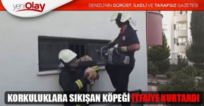 KORKULUKLARA SIKIŞAN KÖPEĞİ İTFAİYE KURTARDI