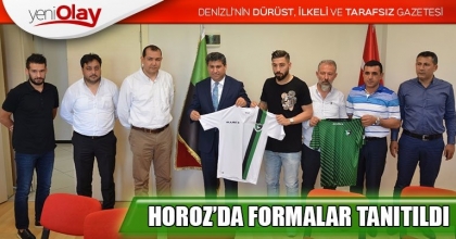 HOROZ’DA FORMALAR TANITILDI