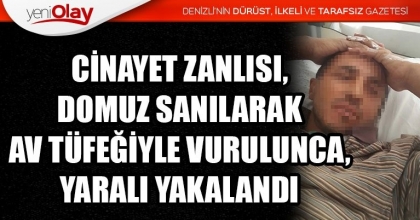 CİNAYET ZANLISI, DOMUZ SANILARAK AV TÜFEĞİYLE VURULUNCA, YARALI YAKALANDI