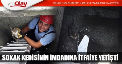SOKAK KEDİSİNİN İMDADINA İTFAİYE YETİŞTİ
