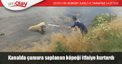 Kanalda çamura saplanan köpeği itfaiye kurtardı