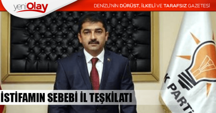 İSTİFAMIN SEBEBİ İL TEŞKİLATI