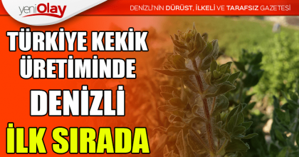 TÜRKİYE KEKİK ÜRETİMİNDE DENİZLİ İLK SIRADA
