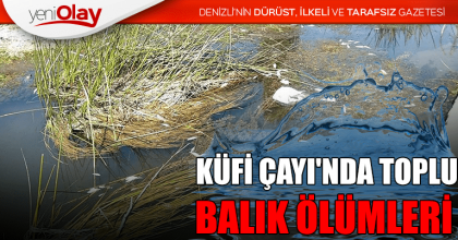 KÜFİ ÇAYI'NDA TOPLU BALIK ÖLÜMLERİ 