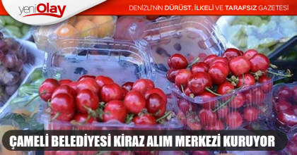 ÇAMELİ BELEDİYESİ KİRAZ ALIM MERKEZİ KURUYOR