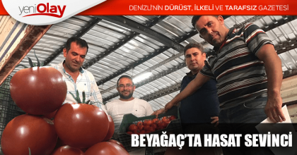 BEYAĞAÇ’TA HASAT SEVİNCİ