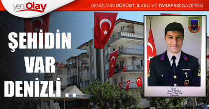 ŞEHİDİMİZ VAR...