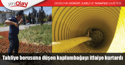 Tahliye borusuna düşen kaplumbağayı itfaiye kurtardı