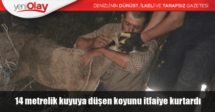 14 metrelik kuyuya düşen koyunu itfaiye kurtardı