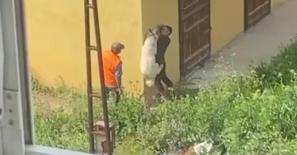 İZMİR’DE KÖPEĞE İŞKENCE ANBEAN KAMERADA  